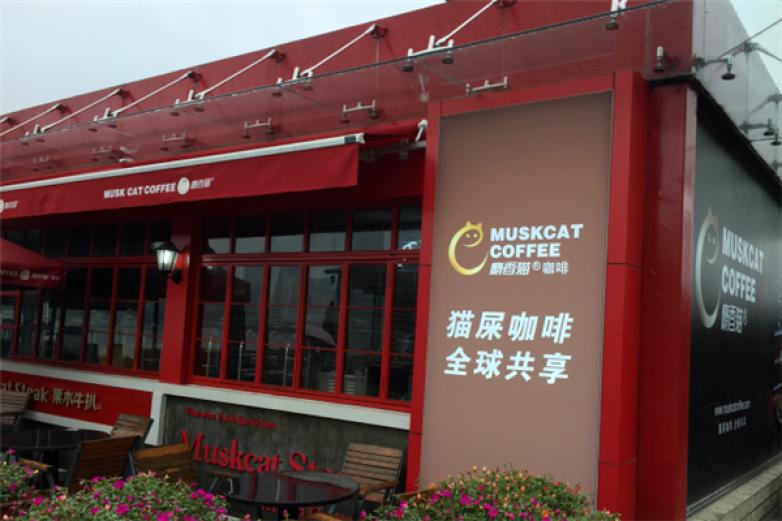 麝香猫咖啡加盟
