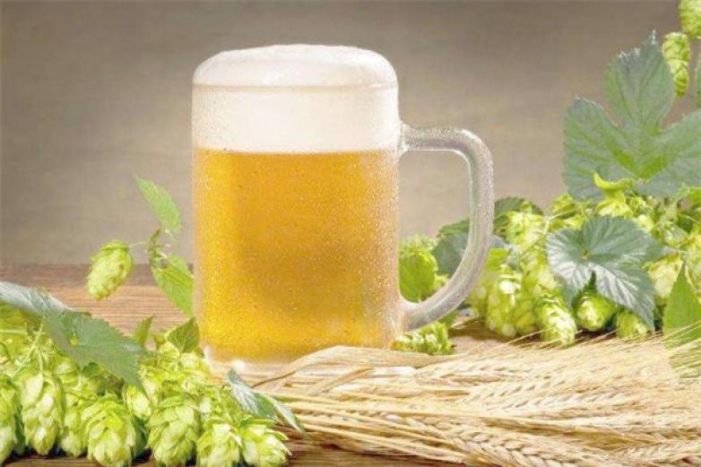 麦克斯啤酒加盟