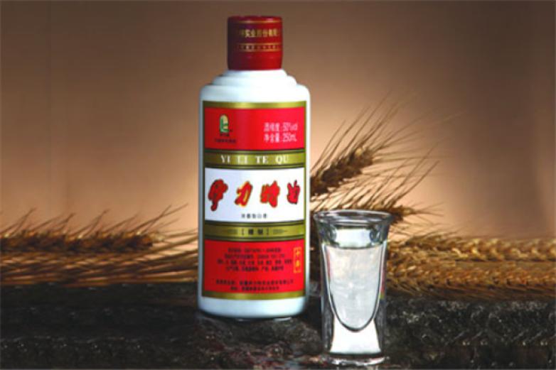 新疆伊力特加盟