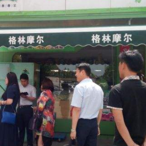 格林摩尔度假庄园