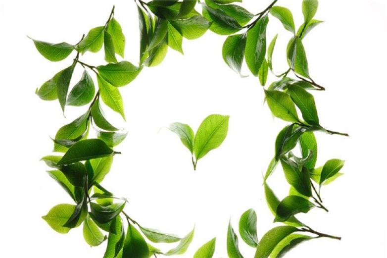 万生堂茶礼加盟