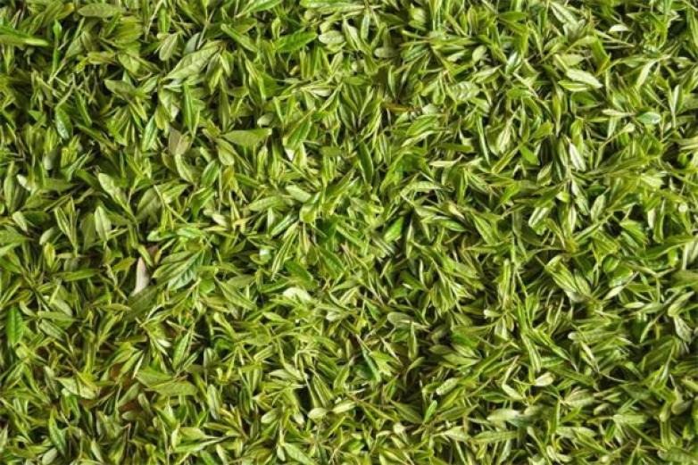 谷丰年茶业加盟