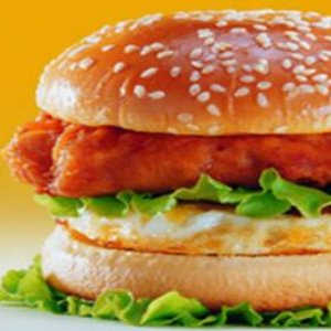 新纳西汉堡加盟