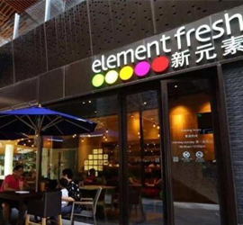新元素餐厅加盟