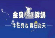 黄石金贝酸奶