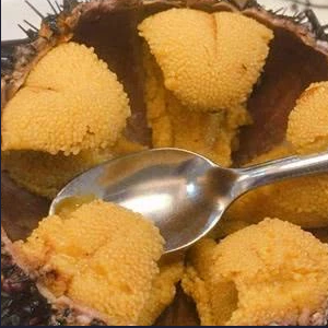 万贝神牌海鲜王