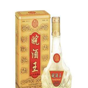 皖酒王专卖店
