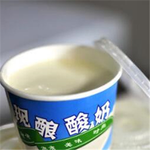 现酿酸奶酷饮吧