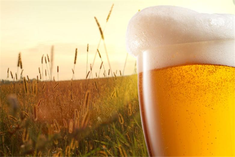 牛啤精酿工坊加盟