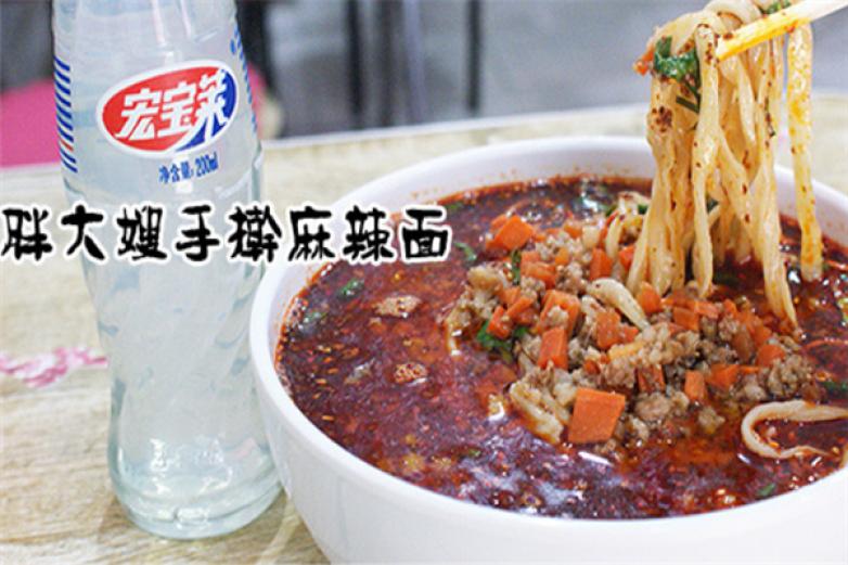 胖大嫂手擀麻辣面加盟