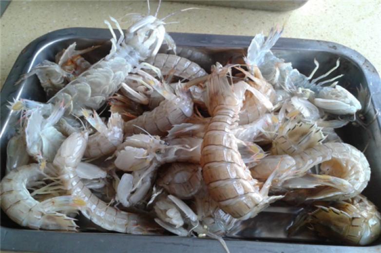 春华海鲜自助加盟