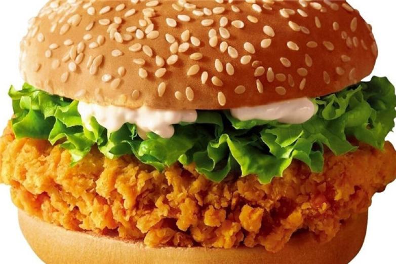 随客汉堡大王加盟