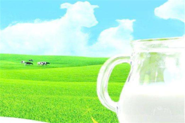 世佳鲜奶吧加盟