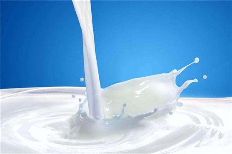 大家乐牛奶加盟