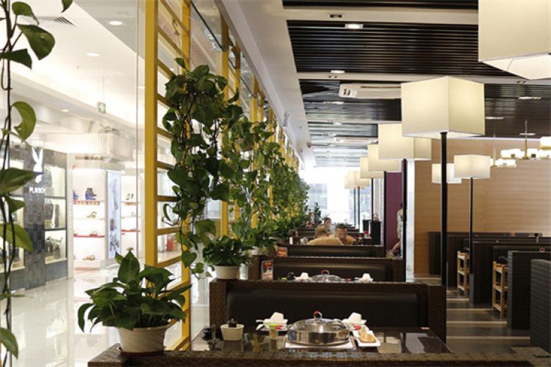 上品黄记煌三汁焖锅加盟