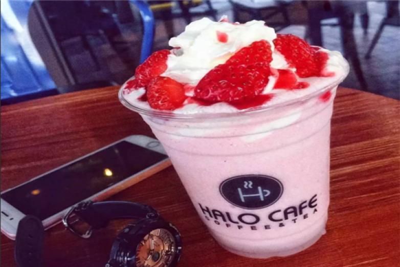 halocafe加盟
