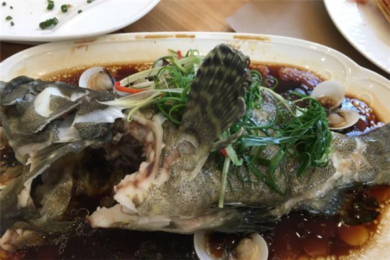 深圳79号渔船加盟