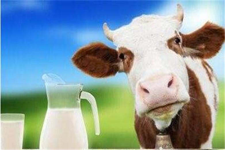 重庆冠宇乳业加盟