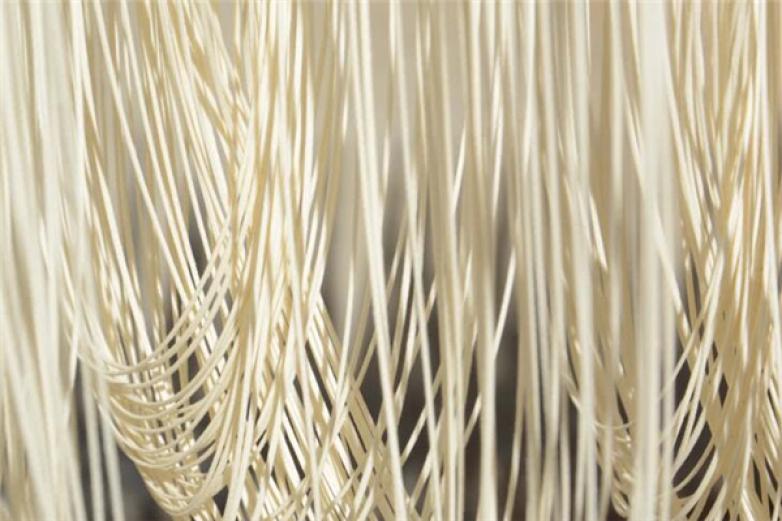 手工挂面机器加盟