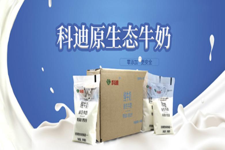 科迪原生牛奶加盟