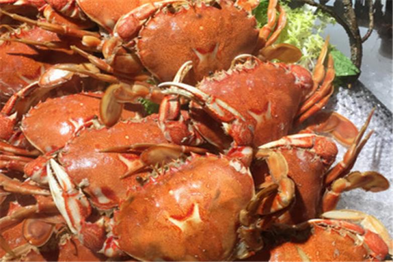  5号海鲜自助加盟