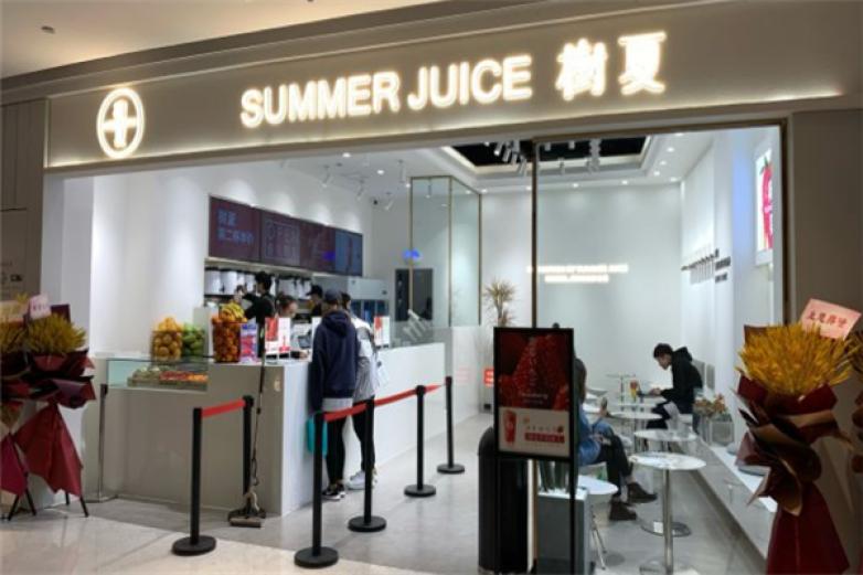 树夏生榨果粒加盟