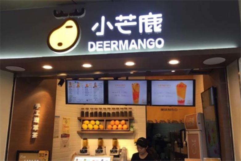 小芒鹿加盟