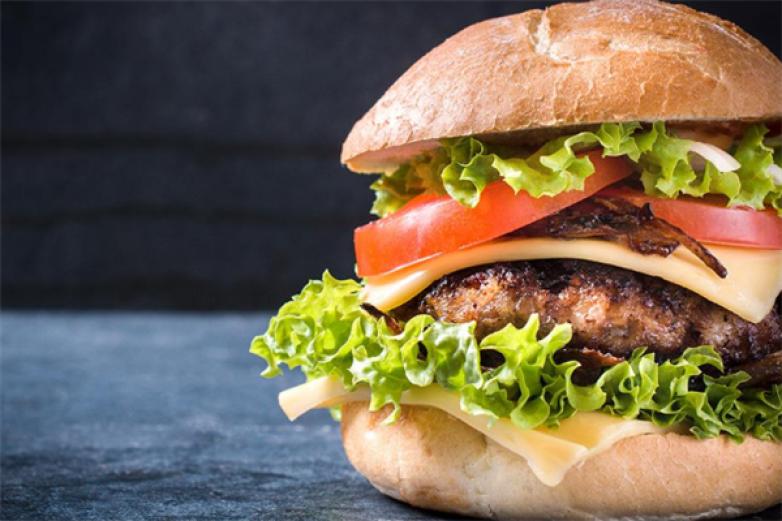 人造肉实验室加盟