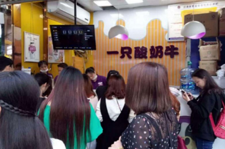 一只酸奶加盟