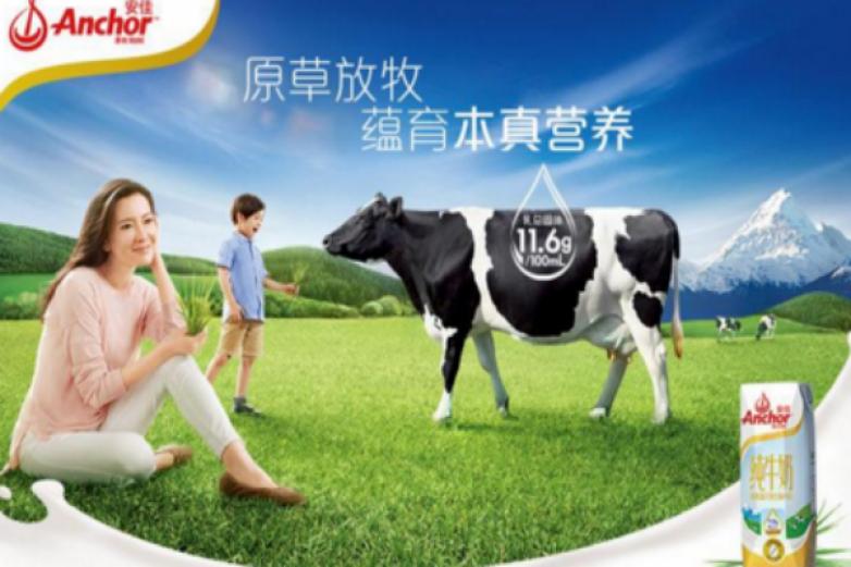 安佳牛奶加盟