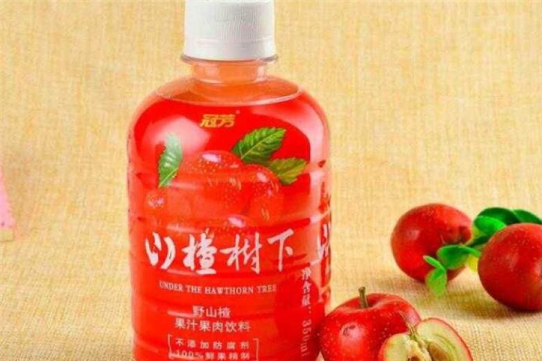 山楂树下饮料加盟
