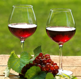 菲特堡干红葡萄酒