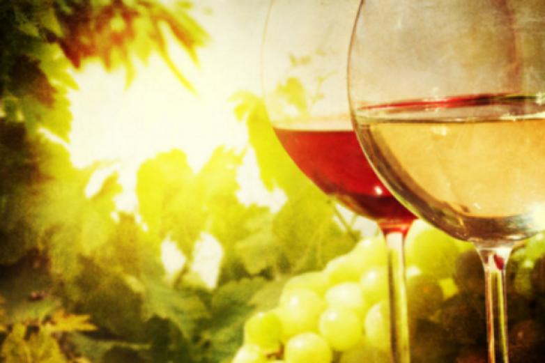 菲特堡干红葡萄酒加盟