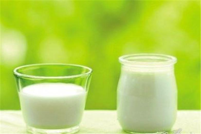 绿河谷鲜羊奶加盟