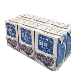 风行牛奶饮品