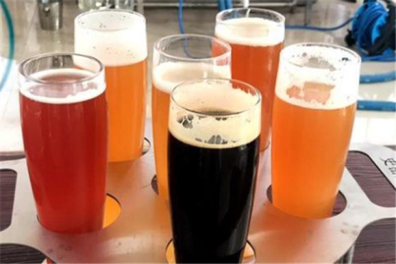 自酿啤酒饮品加盟