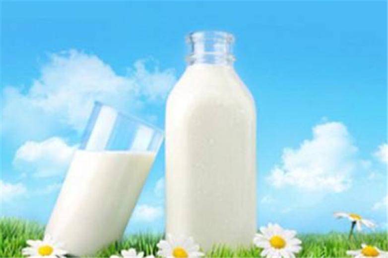 俏牛儿鲜奶吧饮品加盟