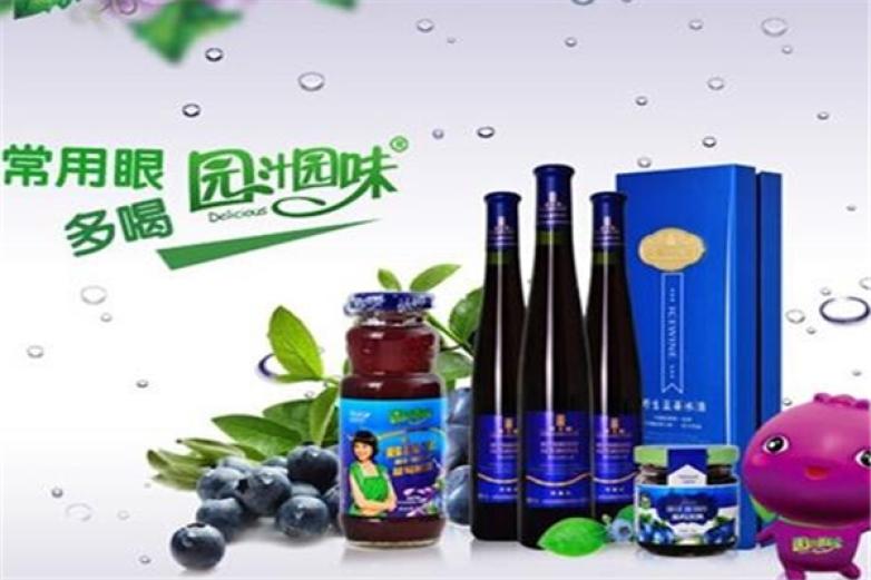 园汁园味饮品加盟