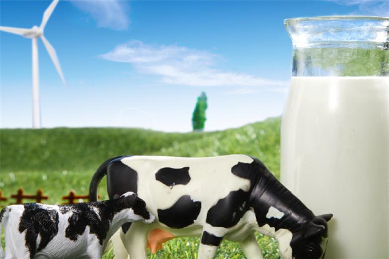 心乐牛奶饮品加盟