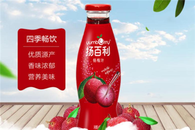 扬百利果汁加盟