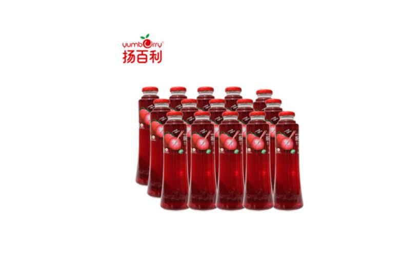 扬百利果汁加盟