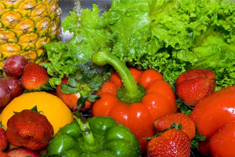 诚实蔬菜批发配送部加盟