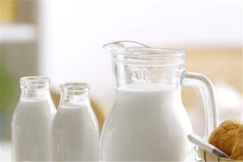 新希望琴牌乳业加盟