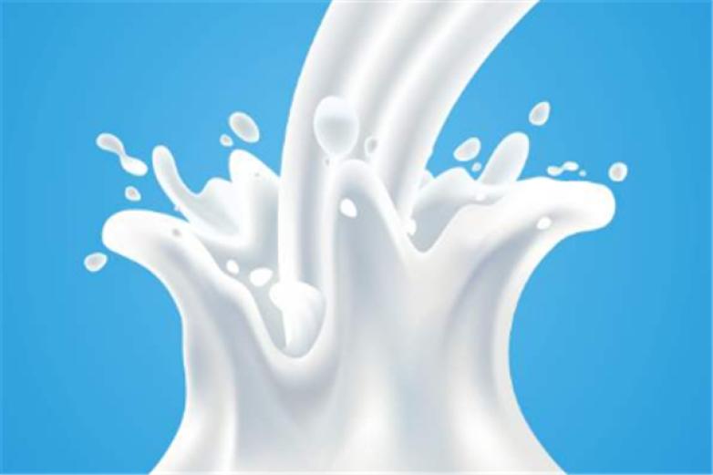 新希望琴牌乳业加盟