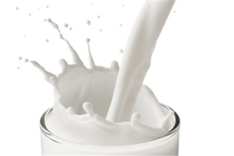 青海湖乳业加盟