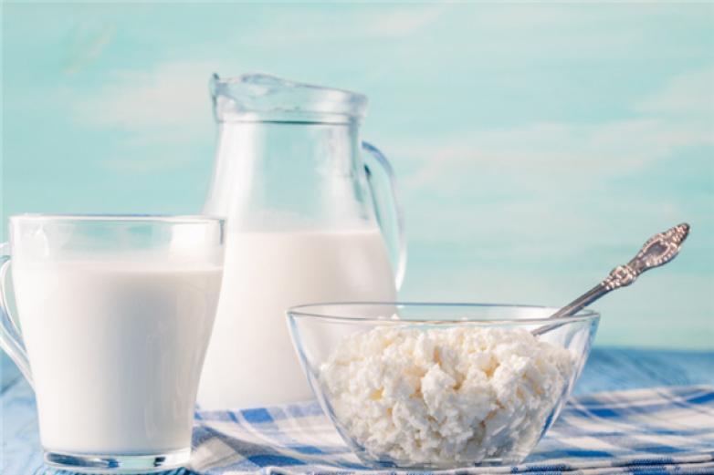 得益乳业牛奶加盟