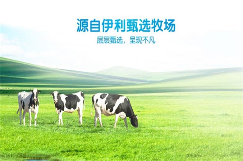 伊利鲜奶加盟