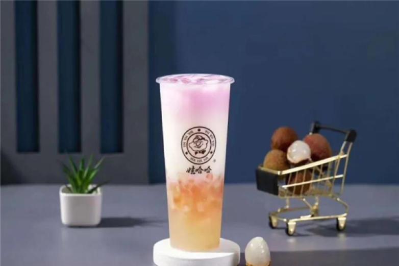 娃哈哈奶茶加盟