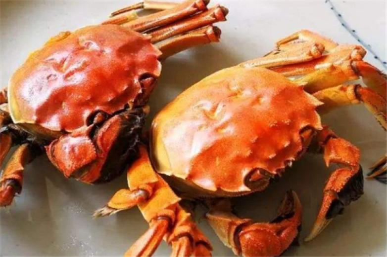 龙奇圣水产加盟