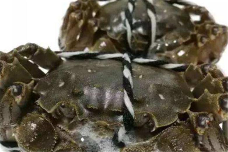 龙奇圣水产加盟